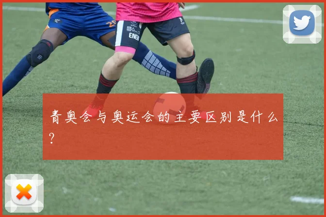 青奥会与奥运会的主要区别是什么？